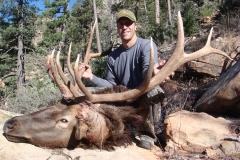elk-hunting-01