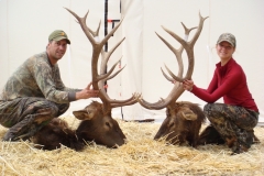 elk-hunting-03