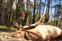 elk-hunting-04