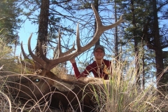 elk-hunting-08
