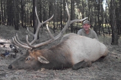 elk-hunting-11