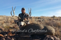 mule-deer-hunting-24