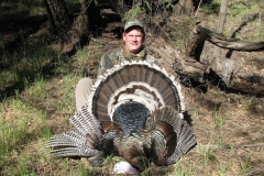 turkey-hunting-01