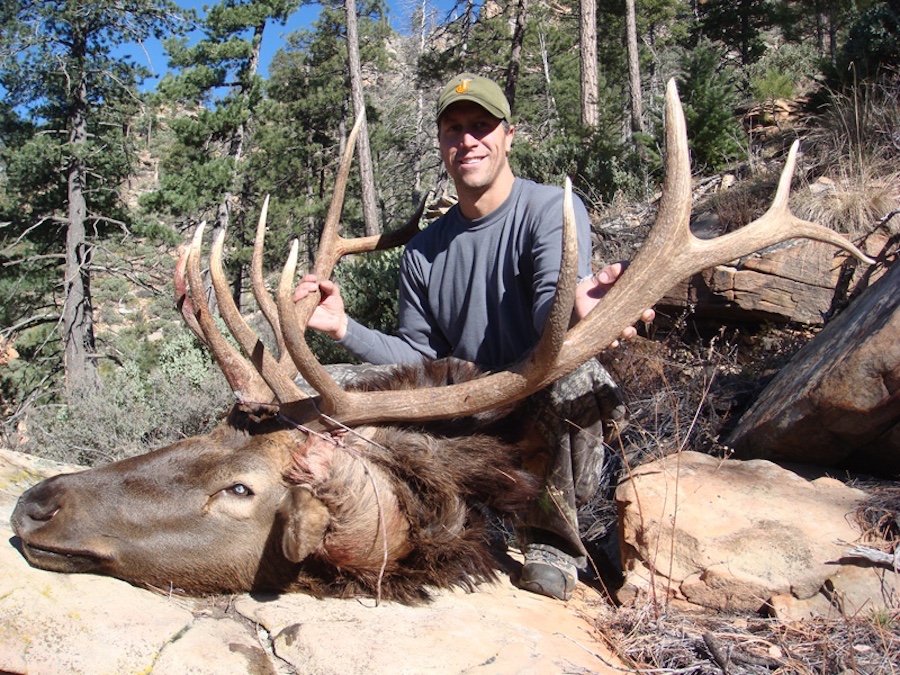 A man standing next to a large animal.